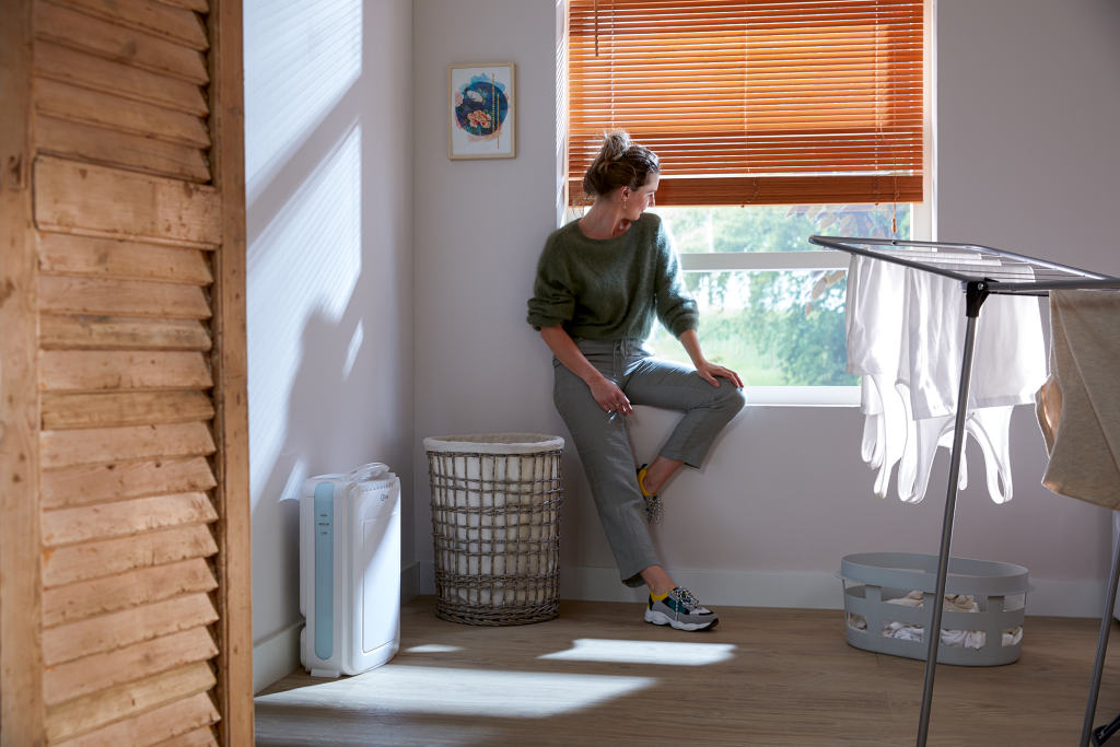 Cold room dehumidifier DD 208