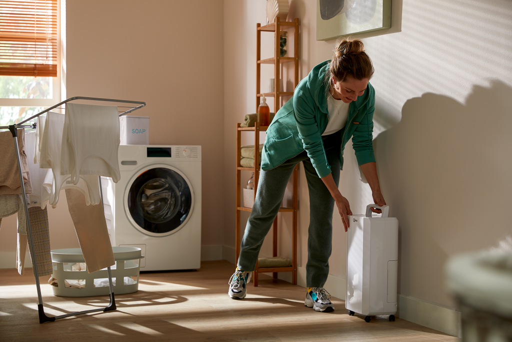 Dehumidifier D 216