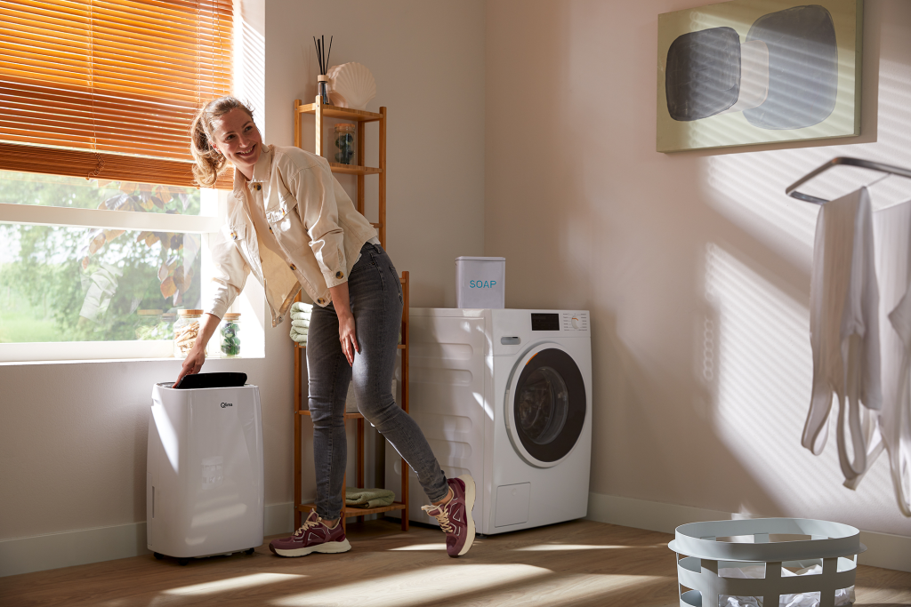 Dehumidifier D 630 P SMART